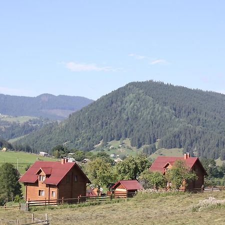 Polonyna Villa Verkhovyna Bagian luar foto