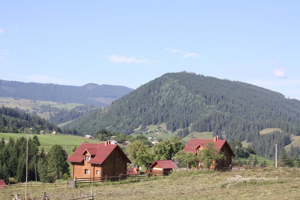 Polonyna Villa Verkhovyna Bagian luar foto