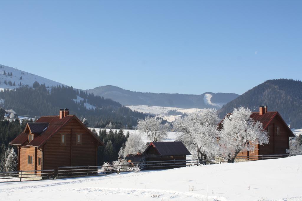 Polonyna Villa Verkhovyna Bagian luar foto