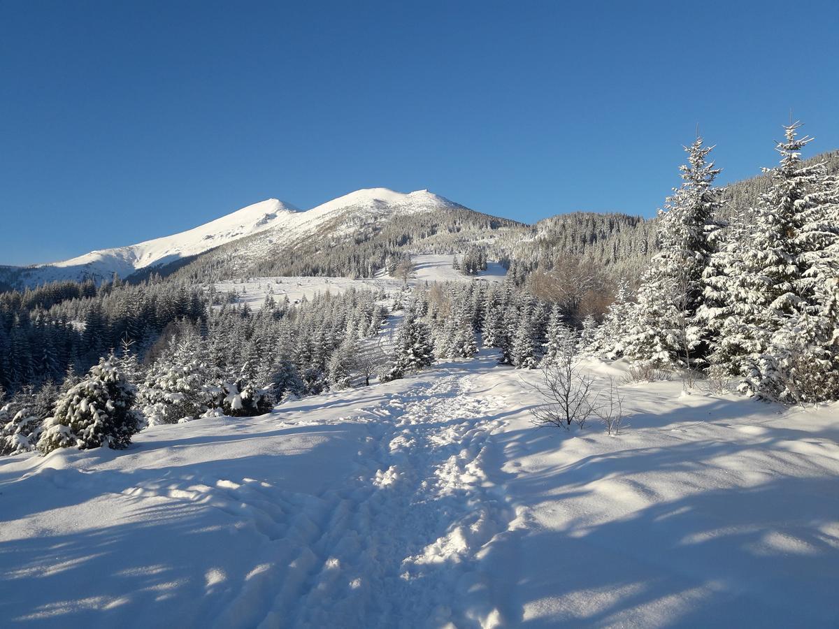 Polonyna Villa Verkhovyna Bagian luar foto