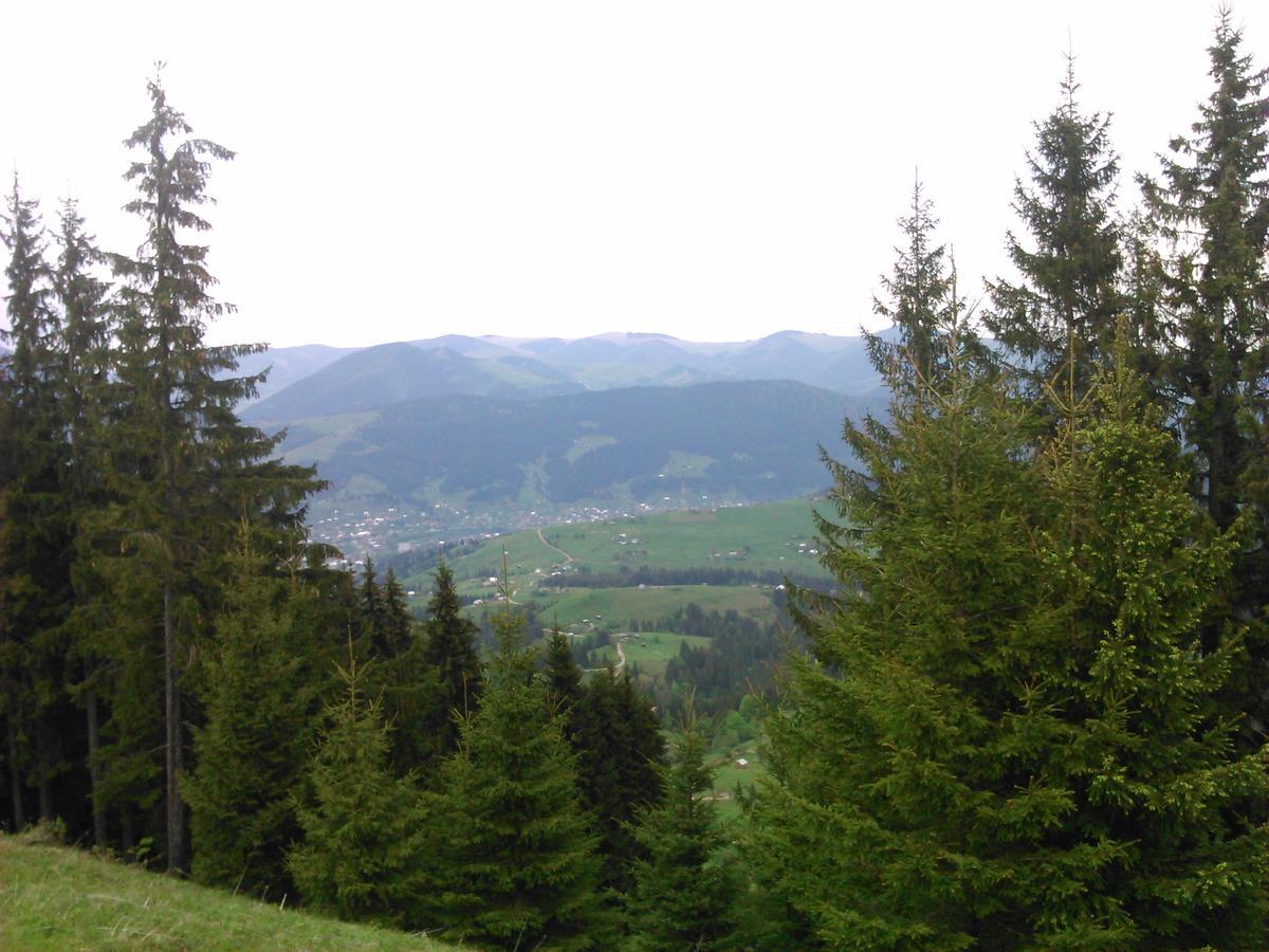 Polonyna Villa Verkhovyna Bagian luar foto