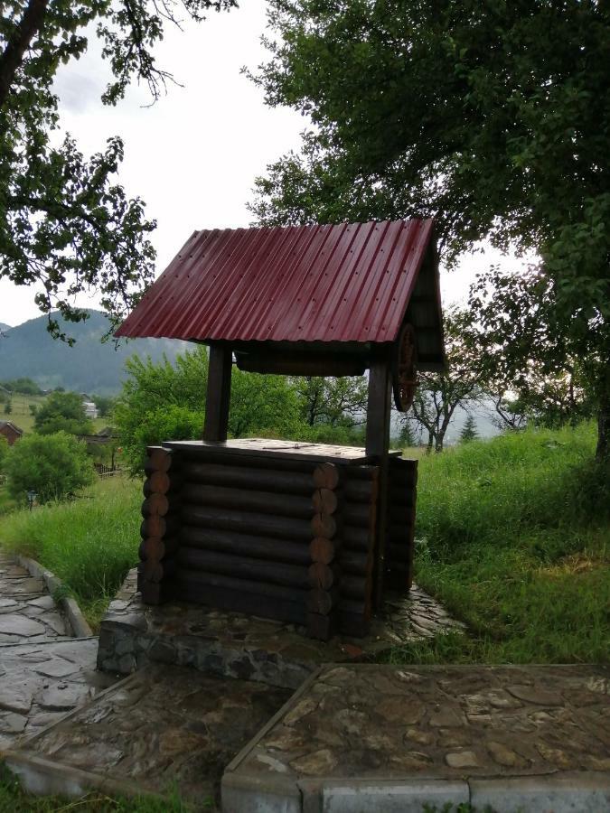 Polonyna Villa Verkhovyna Bagian luar foto
