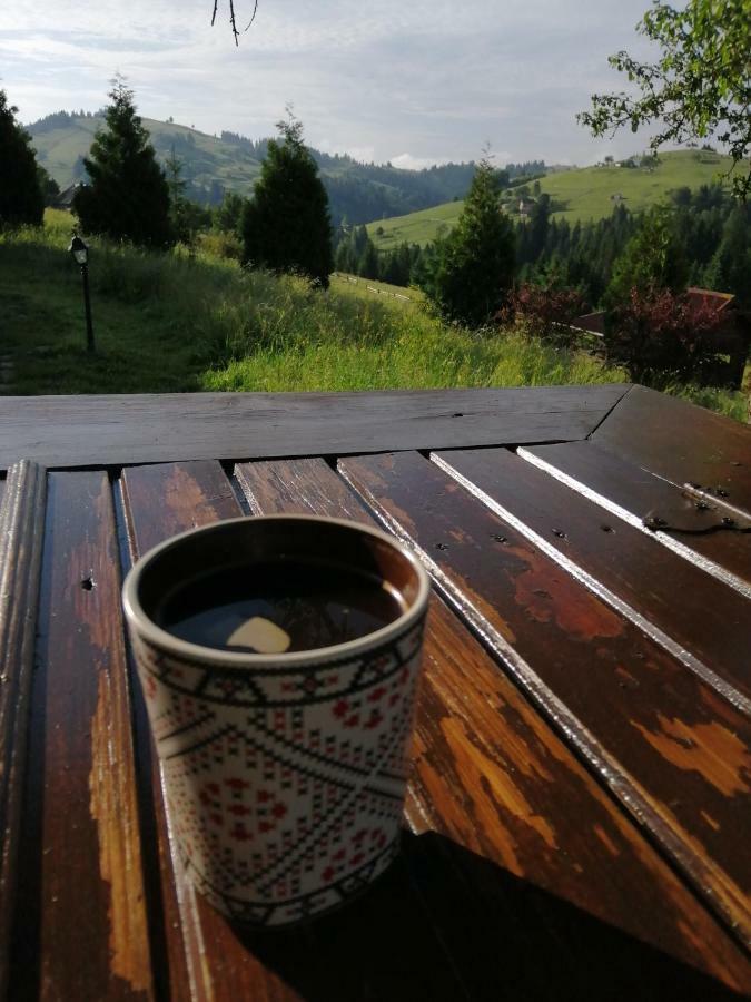 Polonyna Villa Verkhovyna Bagian luar foto
